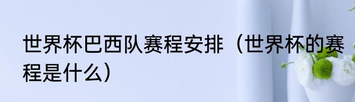 世界杯巴西队赛程安排（世界杯的赛程是什么）