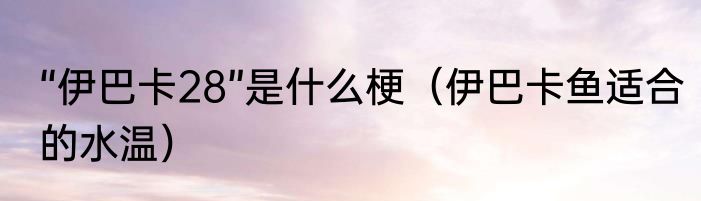 “伊巴卡28”是什么梗（伊巴卡鱼适合的水温）