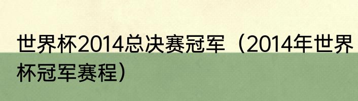 世界杯2014总决赛冠军（2014年世界杯冠军赛程）