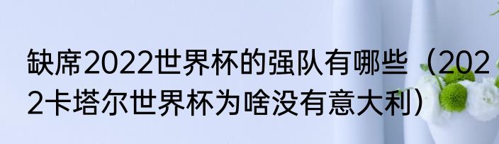缺席2022世界杯的强队有哪些（2022卡塔尔世界杯为啥没有意大利）