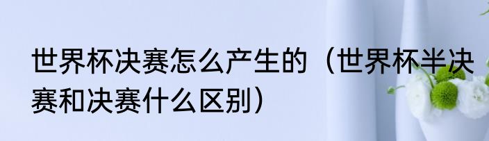 世界杯决赛怎么产生的（世界杯半决赛和决赛什么区别）