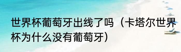 世界杯葡萄牙出线了吗（卡塔尔世界杯为什么没有葡萄牙）