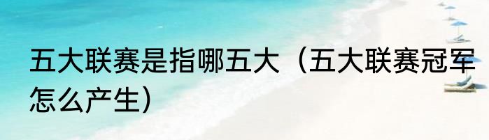 五大联赛是指哪五大（五大联赛冠军怎么产生）