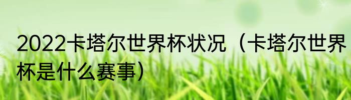 2022卡塔尔世界杯状况(卡塔尔世界杯是什么赛事)
