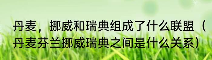 丹麦，挪威和瑞典组成了什么联盟（丹麦芬兰挪威瑞典之间是什么关系）