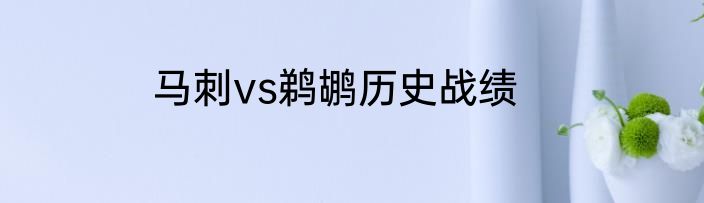 马刺vs鹈鹕历史战绩