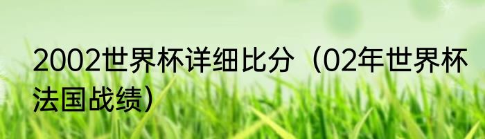 2002世界杯详细比分（02年世界杯法国战绩）