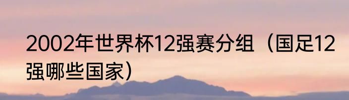 2002年世界杯12强赛分组（国足12强哪些国家）