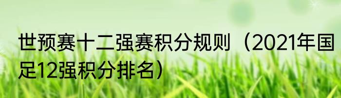 世预赛十二强赛积分规则（2021年国足12强积分排名）
