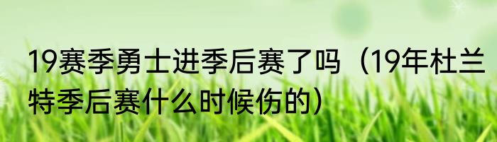 19赛季勇士进季后赛了吗（19年杜兰特季后赛什么时候伤的）