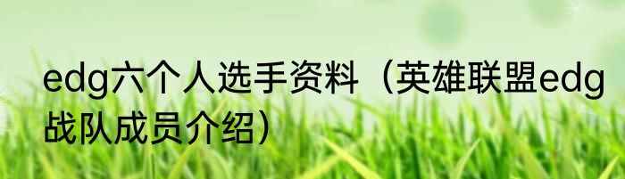 edg六个人选手资料（英雄联盟edg战队成员介绍）