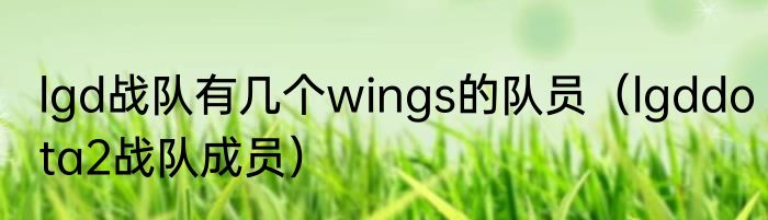 lgd战队有几个wings的队员（lgddota2战队成员）