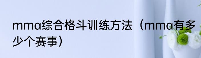 mma综合格斗训练方法（mma有多少个赛事）