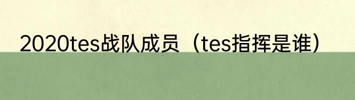 2020tes战队成员（tes指挥是谁）