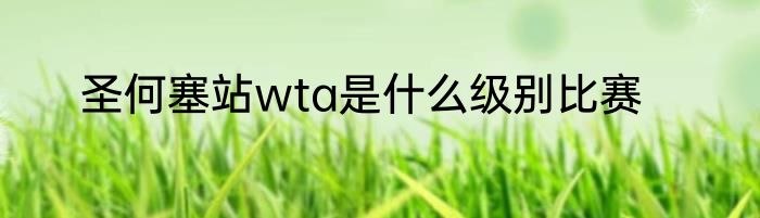 圣何塞站wta是什么级别比赛