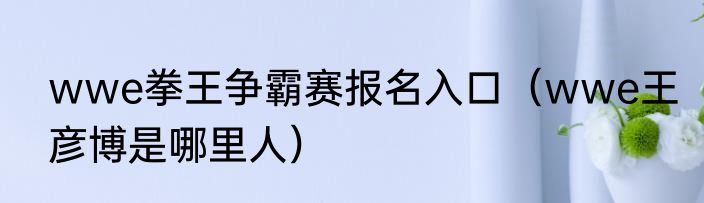 wwe拳王争霸赛报名入口（wwe王彦博是哪里人）
