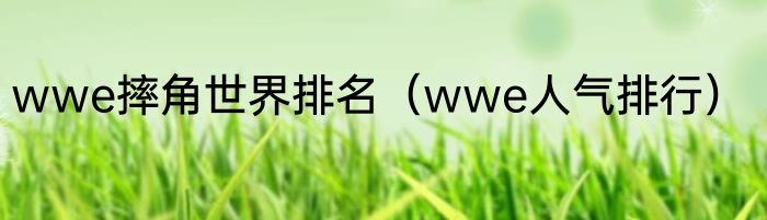 wwe摔角世界排名（wwe人气排行）