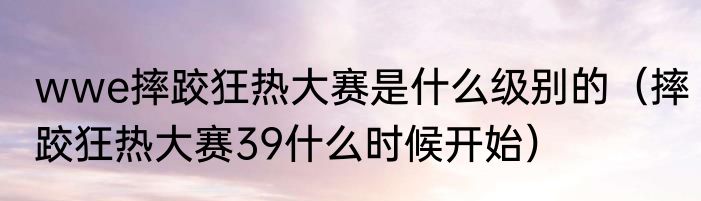 wwe摔跤狂热大赛是什么级别的（摔跤狂热大赛39什么时候开始）