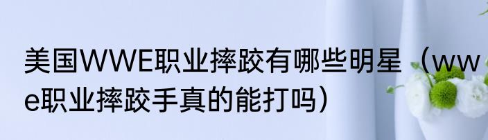 美国WWE职业摔跤有哪些明星（wwe职业摔跤手真的能打吗）