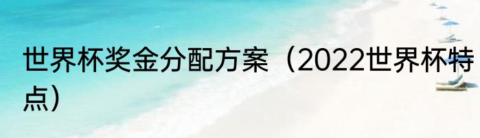 世界杯奖金分配方案（2022世界杯特点）