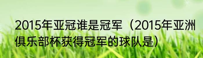 2015年亚冠谁是冠军（2015年亚洲俱乐部杯获得冠军的球队是）