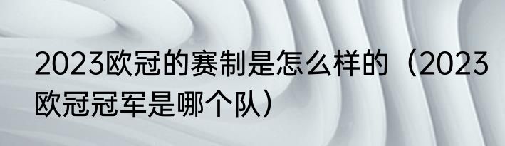2023欧冠的赛制是怎么样的（2023欧冠冠军是哪个队）