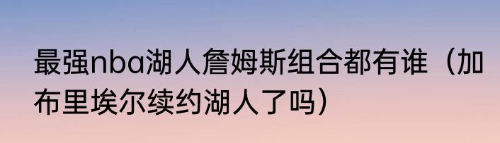最强nba湖人詹姆斯组合都有谁（加布里埃尔续约湖人了吗）