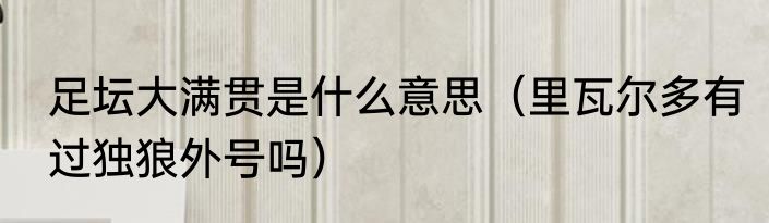 足坛大满贯是什么意思（里瓦尔多有过独狼外号吗）