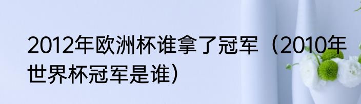 2012年欧洲杯谁拿了冠军（2010年世界杯冠军是谁）