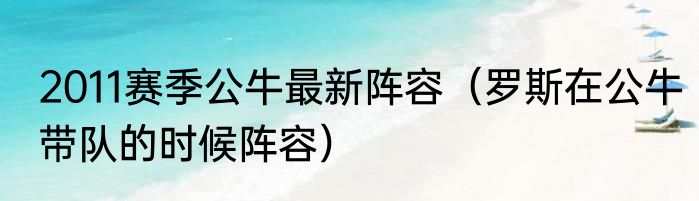 2011赛季公牛最新阵容（罗斯在公牛带队的时候阵容）