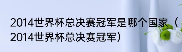2014世界杯总决赛冠军是哪个国家（2014世界杯总决赛冠军）