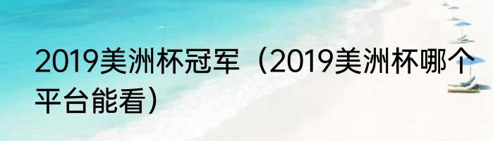 2019美洲杯冠军（2019美洲杯哪个平台能看）
