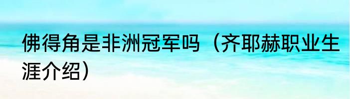 佛得角是非洲冠军吗（齐耶赫职业生涯介绍）