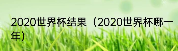 2020世界杯结果（2020世界杯哪一年）