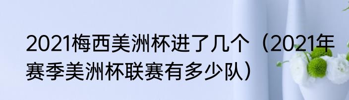 2021梅西美洲杯进了几个（2021年赛季美洲杯联赛有多少队）