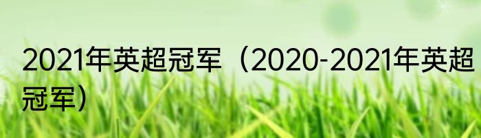 2021年英超冠军（2020-2021年英超冠军）