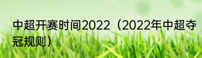 中超开赛时间2022（2022年中超夺冠规则）