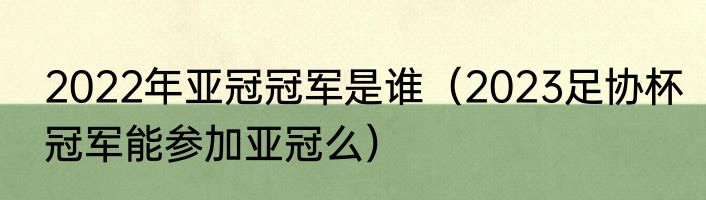 2022年亚冠冠军是谁（2023足协杯冠军能参加亚冠么）