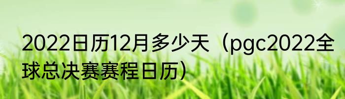 2022日历12月多少天（pgc2022全球总决赛赛程日历）