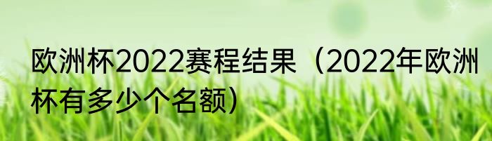 欧洲杯2022赛程结果（2022年欧洲杯有多少个名额）