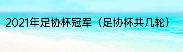 2021年足协杯冠军（足协杯共几轮）