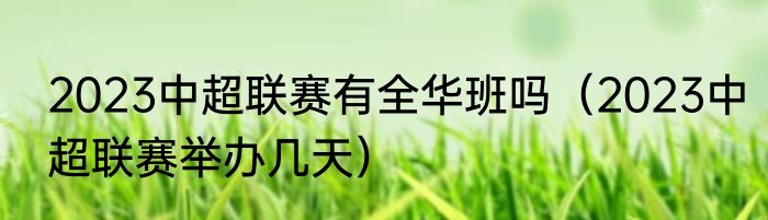 2023中超联赛有全华班吗（2023中超联赛举办几天）