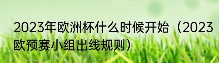 2023年欧洲杯什么时候开始（2023欧预赛小组出线规则）