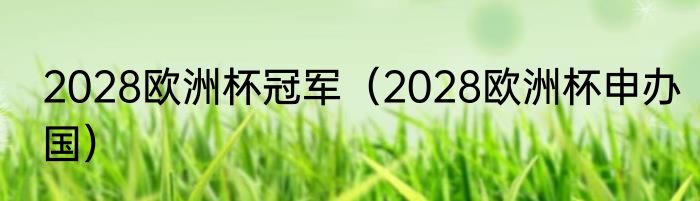2028欧洲杯冠军（2028欧洲杯申办国）