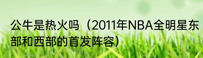 公牛是热火吗（2011年NBA全明星东部和西部的首发阵容）