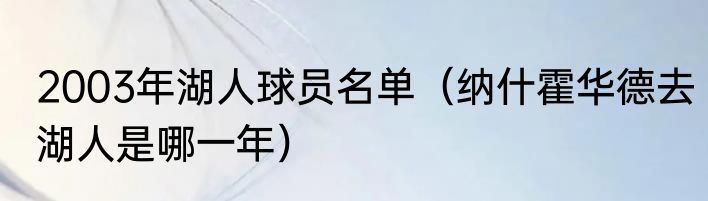 2003年湖人球员名单（纳什霍华德去湖人是哪一年）