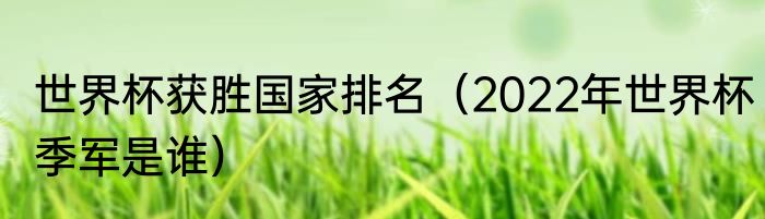 世界杯获胜国家排名（2022年世界杯季军是谁）