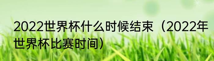 2022世界杯什么时候结束（2022年世界杯比赛时间）