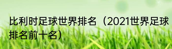 比利时足球世界排名（2021世界足球排名前十名）