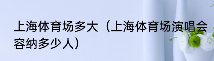 上海体育场多大（上海体育场演唱会容纳多少人）